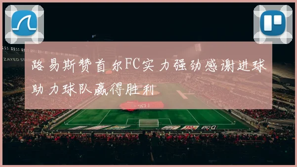路易斯赞首尔FC实力强劲感谢进球助力球队赢得胜利